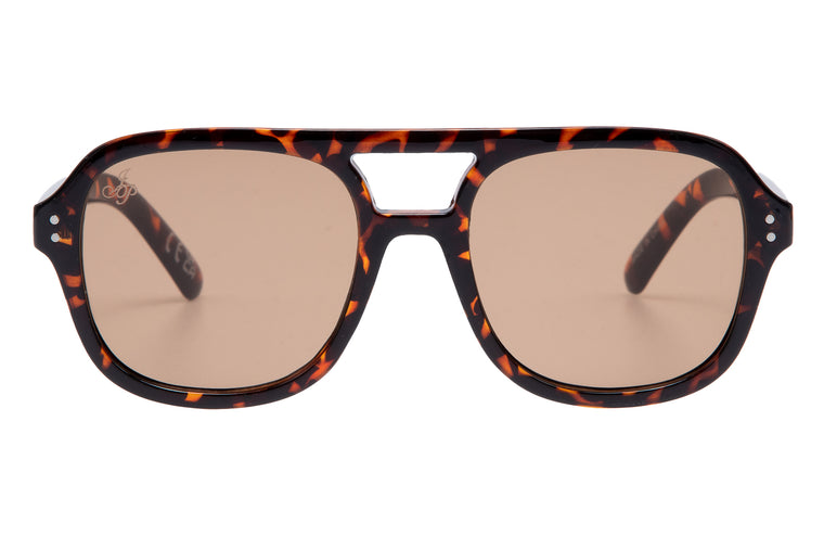 BROWN TORT AVIATOR FRAMES WITH BROWN LENSES