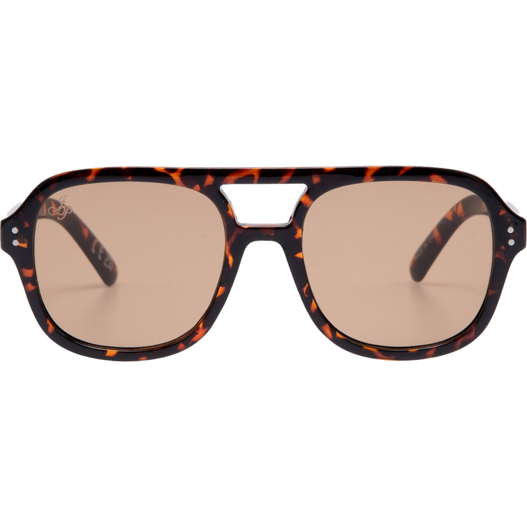 BROWN TORT AVIATOR FRAMES WITH BROWN LENSES